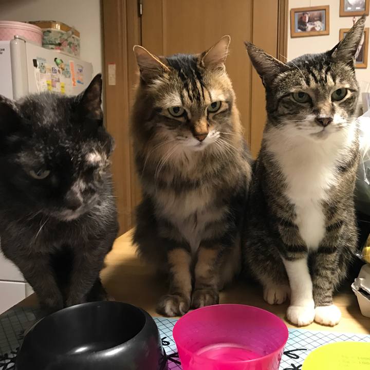 00e12f5c 9fe9 45c2 94f7 10181115a1ba 1551187447106