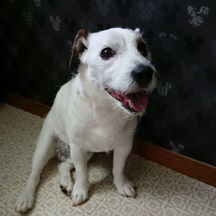 00e13502 9021 44b0 8ef8 49b96fab1fb6 1528931718277