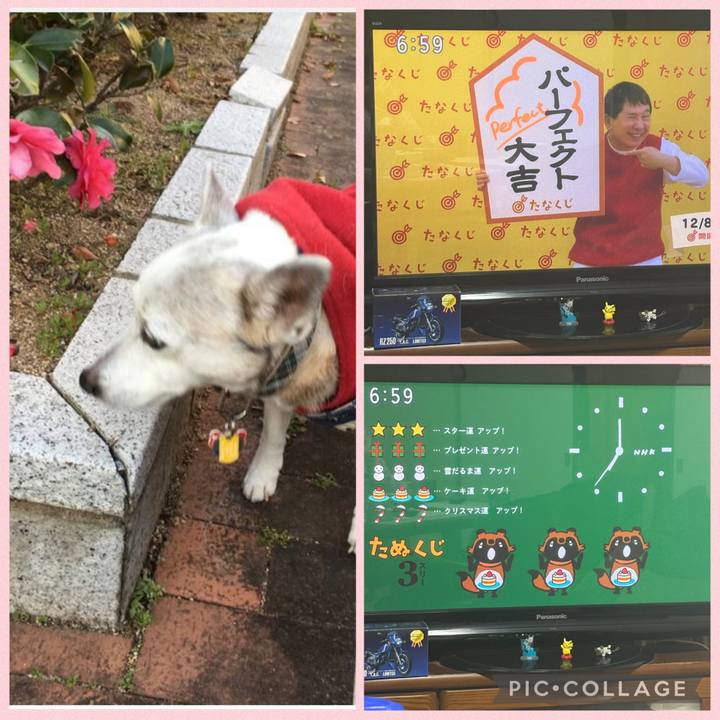 00e13afb d521 4316 a075 c7f788ec795c 1765145211915