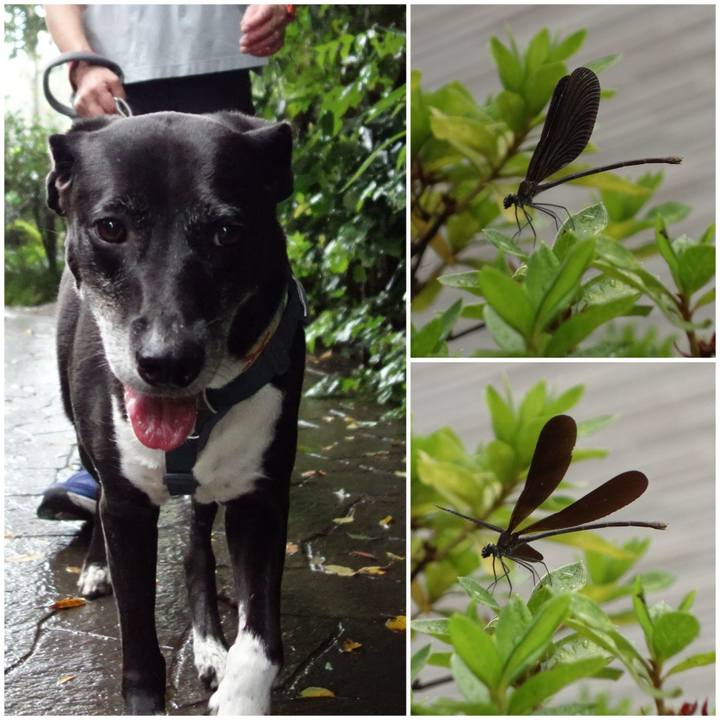 00e14ff9 3858 4234 9081 50713f2b1d63 1728001847610