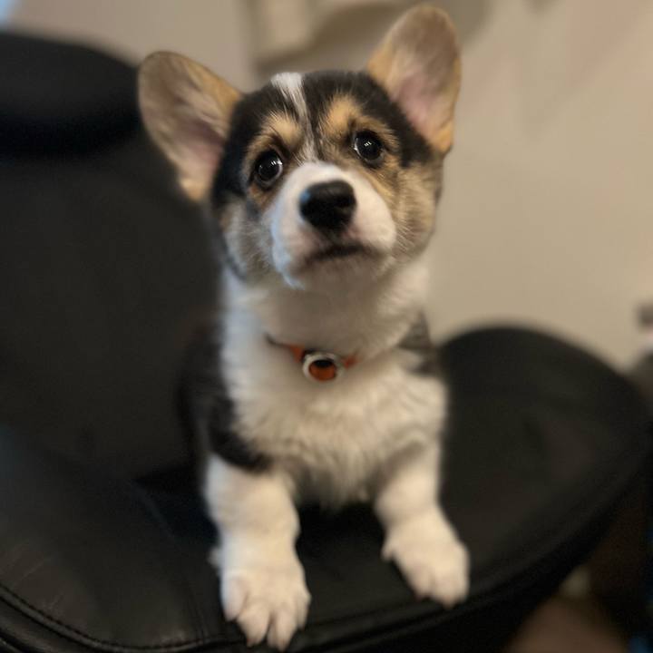 00e17225 b676 481d 802a bf359fab5fb9 1768572872873