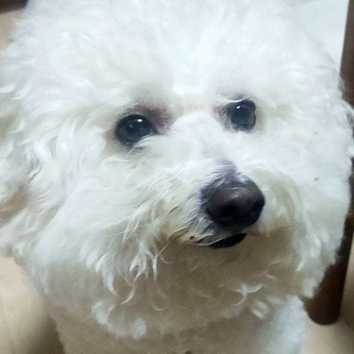 00e194e2 d3e2 472e b2ee d954379c5ecf 1769810965369