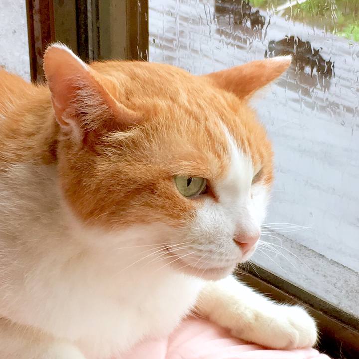 00e1c13d 8700 4118 9f06 48399695392f 1566962463954