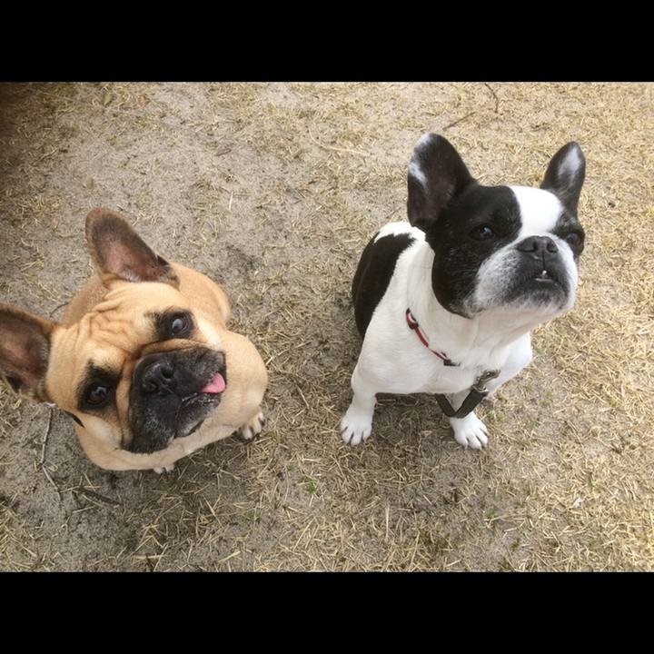 00e1ed2b 26b6 4343 95e0 8a1558b1a0a3 1636302467679