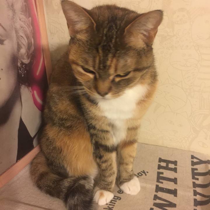 00e224a0 cc3a 490a abc8 a0defbd66bfc 1549049333600