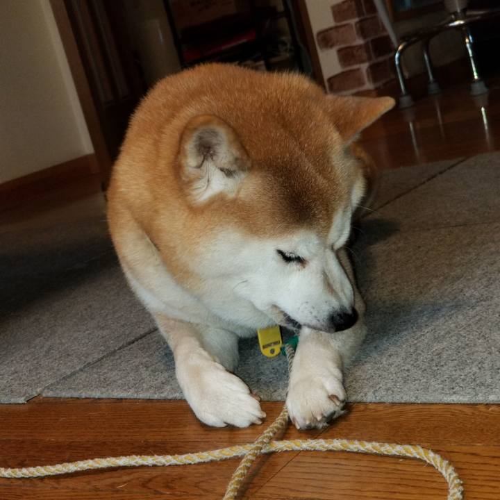 00e28959 ffaf 416e 994f 70533ccf412d 1639526139492