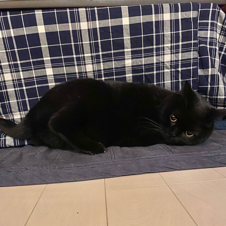 00e30f95 e156 4030 994c 15e5e478bd32 1639220252847