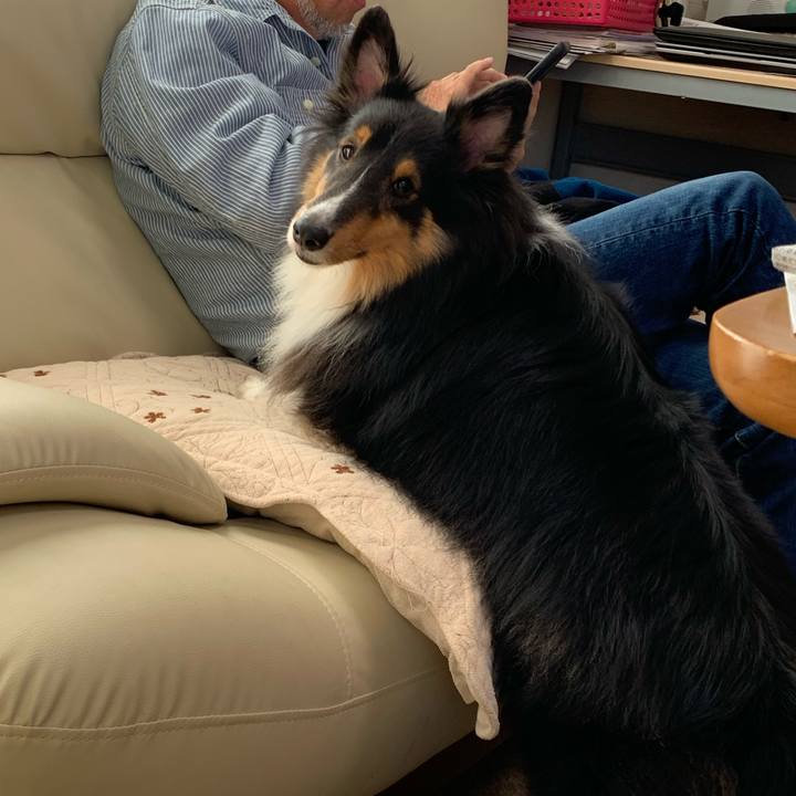 00e34b3a e3b7 4941 932e f9b1c34f4e9a 1604788960651