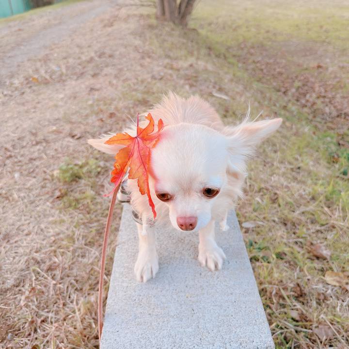 00e35d5c 3b08 4e77 a036 0a82c10f4840 1670837523948