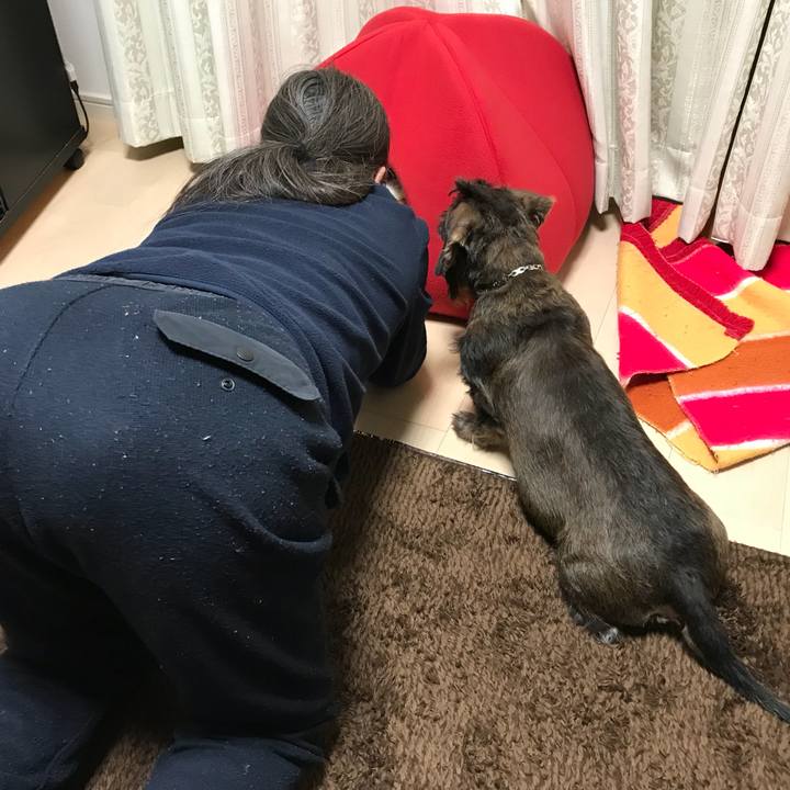 00e36be5 7291 46f8 90f9 6399da228856 1517063890673