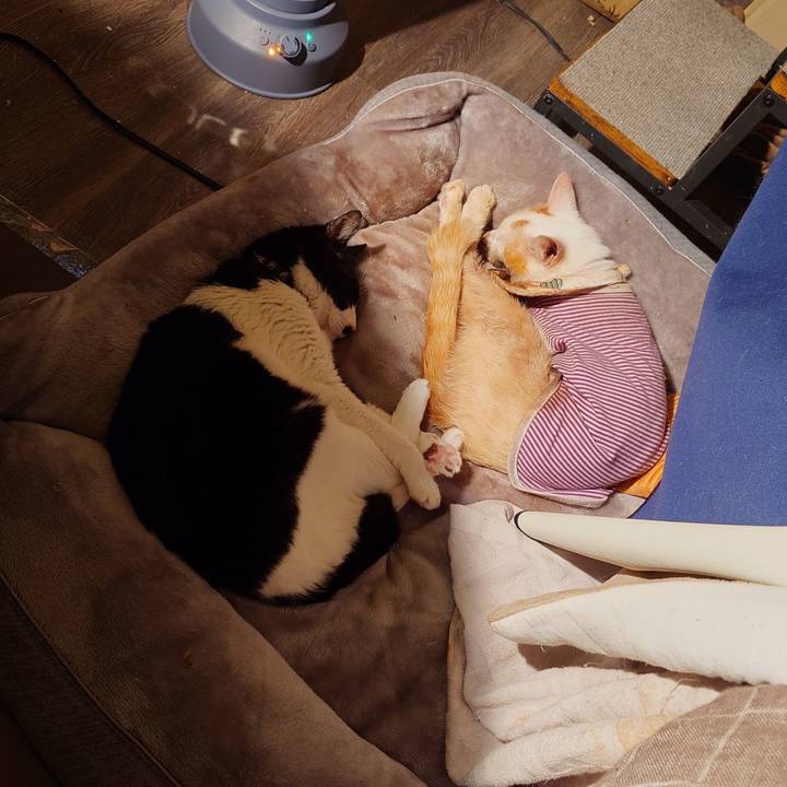 00e39e2e 688f 45e1 ace6 54ab7bb29af0 1772721178369