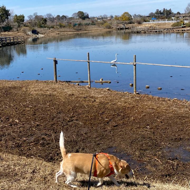 00e3d0b2 19fd 41cd 90ba de1384dac278 1646027979011