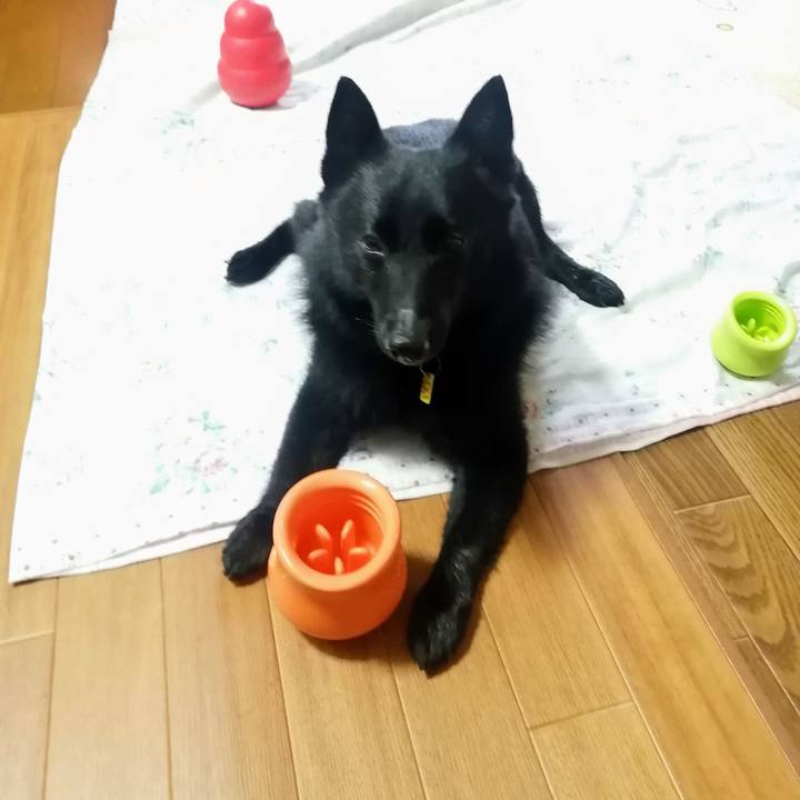 00e3db50 4d0c 42f7 860f 511b47244eae 1655329003297