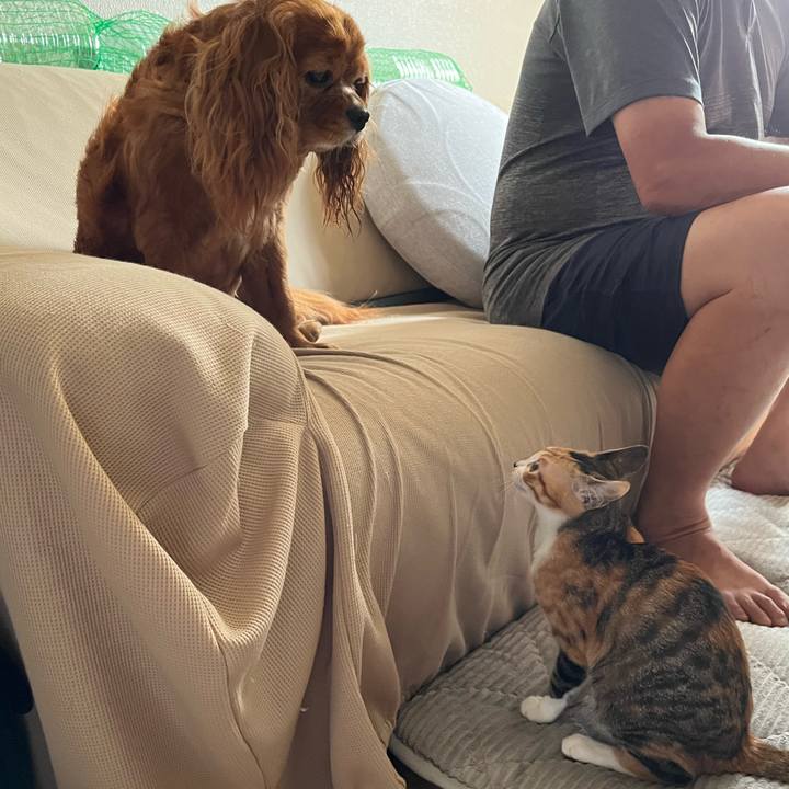 00e3e658 b4a8 4e85 b5b0 c6f78012c4c9 1657341957175