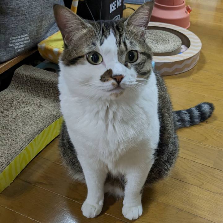 00e437a0 2500 44b8 a4a5 4dd39b3b15f9 1699785529875