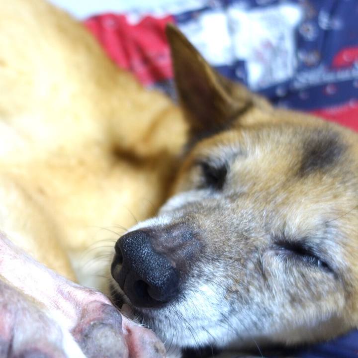 00e4c52c 123c 4bf3 90ff 7300193e565b 1566211638365