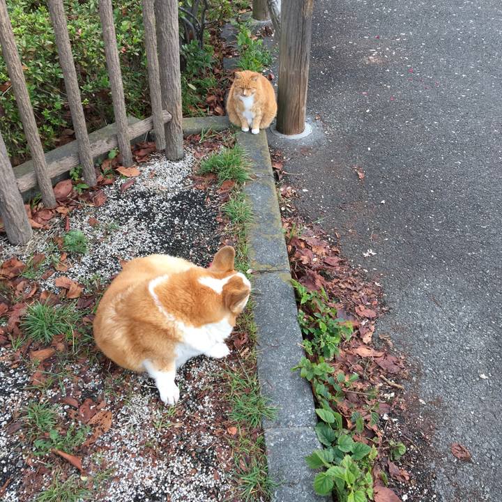 00e4e3a0 5654 4249 9717 a9212a2c870b 1548067237234