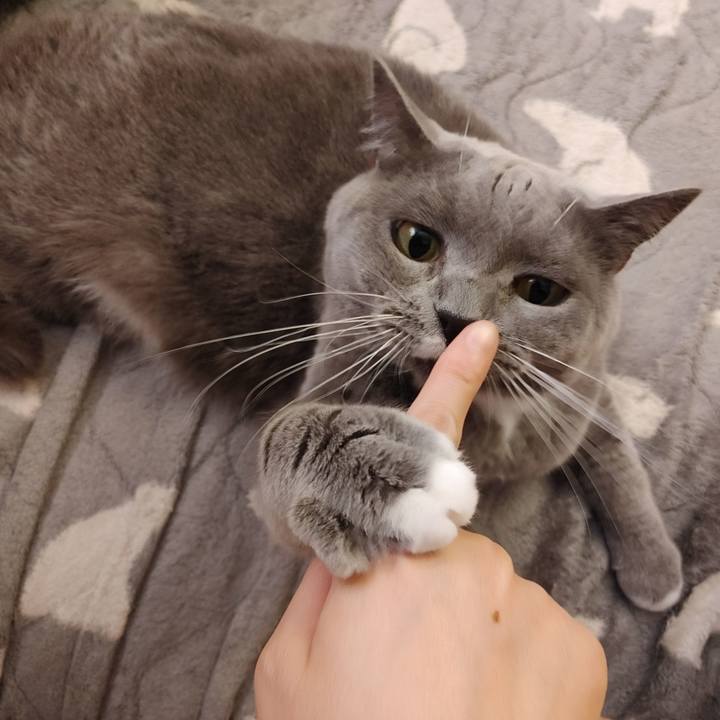 00e4ec27 6476 475f 96da 72bc6957d515 1603597010140