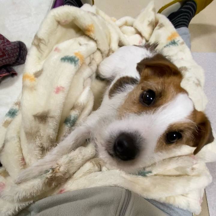 00e4ee9d cd90 46b6 b849 2eaf04c6442f 1675168297198