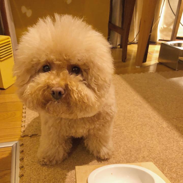 00e527ed 3b2f 4d7f 9f01 dae6fda51e5c 1518430422601