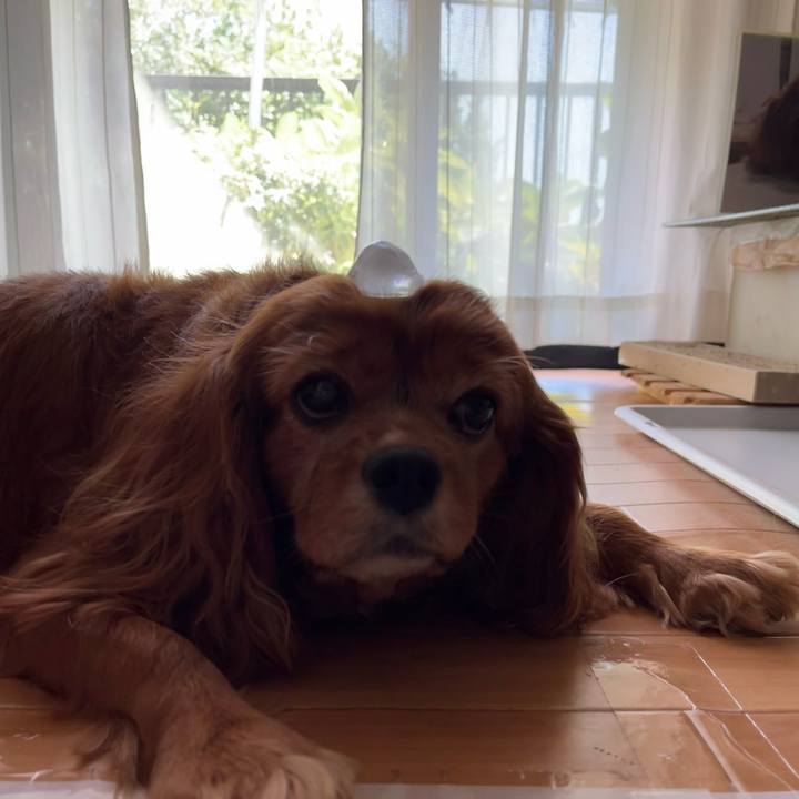 00e54d9c ba5a 4495 94ba f99f5e720821 1690702058850