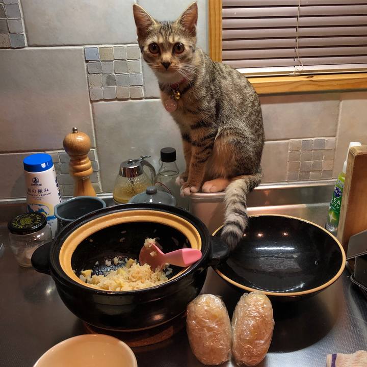 00e567dd 645c 45fc 9e88 a341735d2491 1555935635845