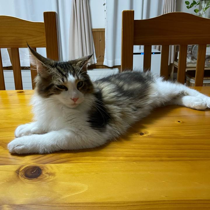 00e56e6d cfb2 4461 8c3b 03d3a7d51142 1636447149648