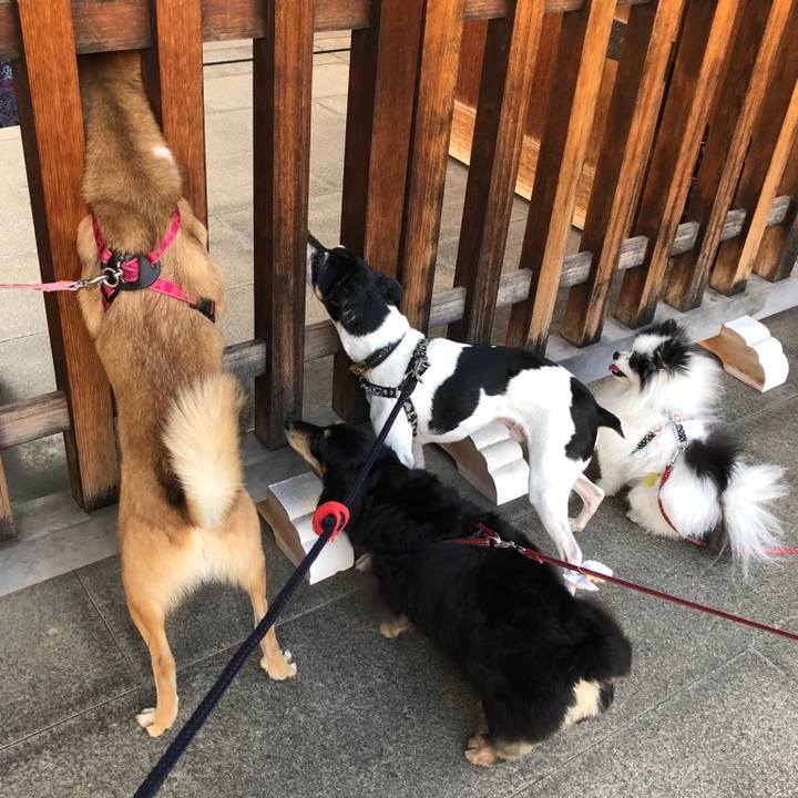 00e5fc3a 50dc 487c a20a c98257f5d1b1 1520742450157