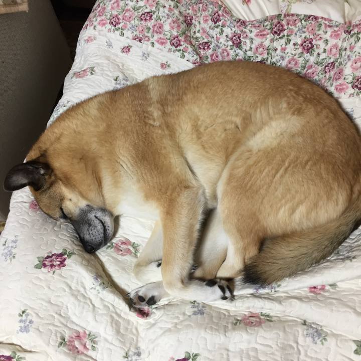 00e600cc 8f7f 40fc b150 5d514c33a4b3 1521645505897