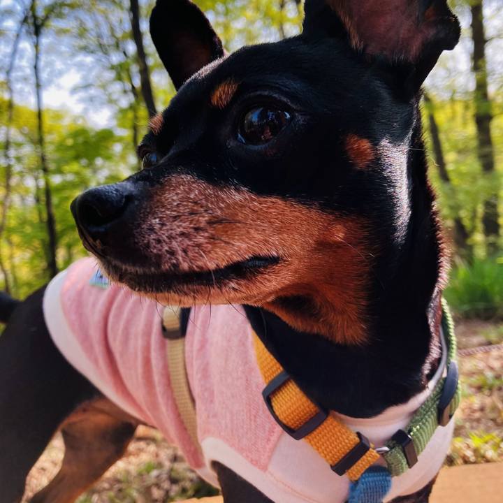 00e60ca1 cd22 4b3e b6ed fc5b4ba9d69d 1713191822338