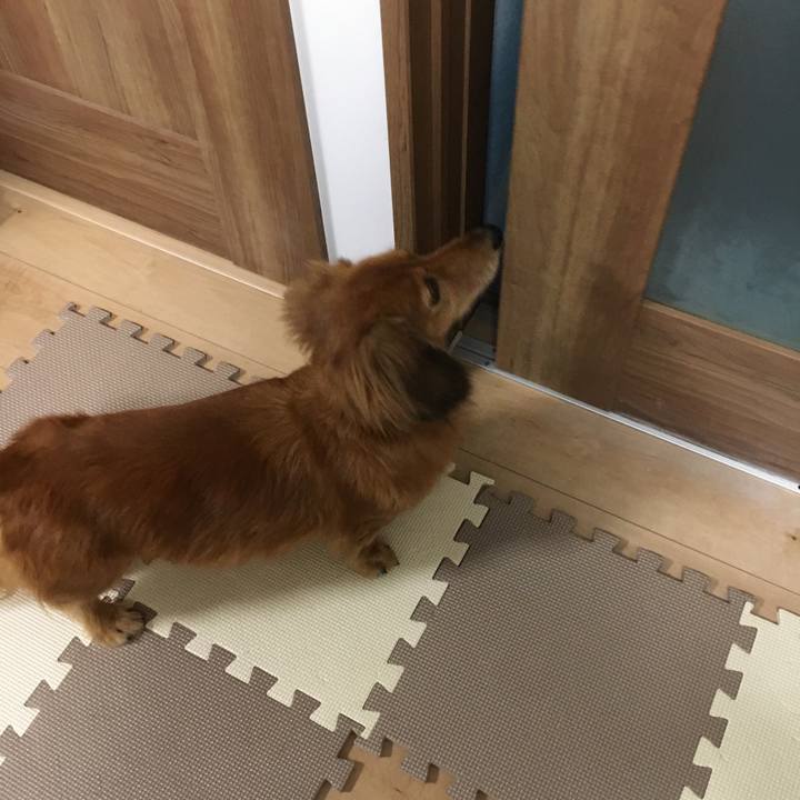 00e62b60 8d81 476b 844c 8ae79a224e7b 1576244491847