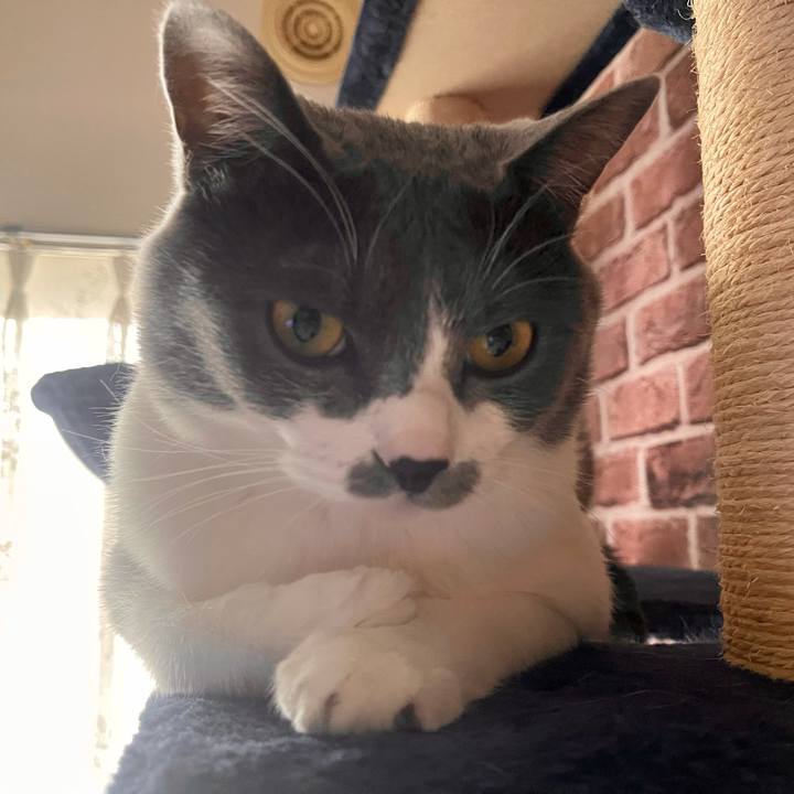 00e67432 b4b3 438a b6aa b1f697871302 1645053640800