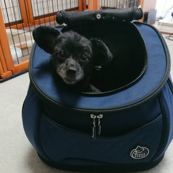 00e68047 edbf 4a34 8c09 0ec2e899af15 1518843040461