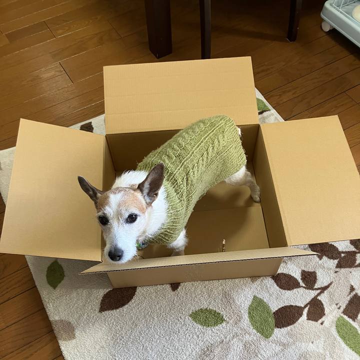 00e6ab84 7c28 4850 9dee 49971b1668fa 1739489004906