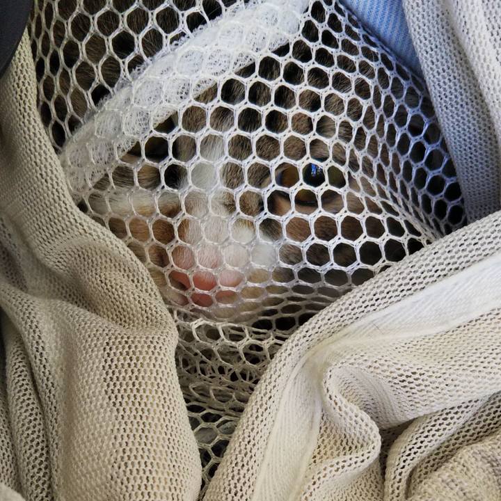 00e6ddaf 697b 45e6 8a9a e8cc7809f535 1644039812247