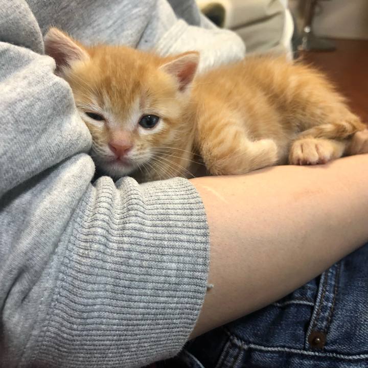 00e6f1ae fdf5 4b93 a74d 7f72bb5d406a 1560083747565