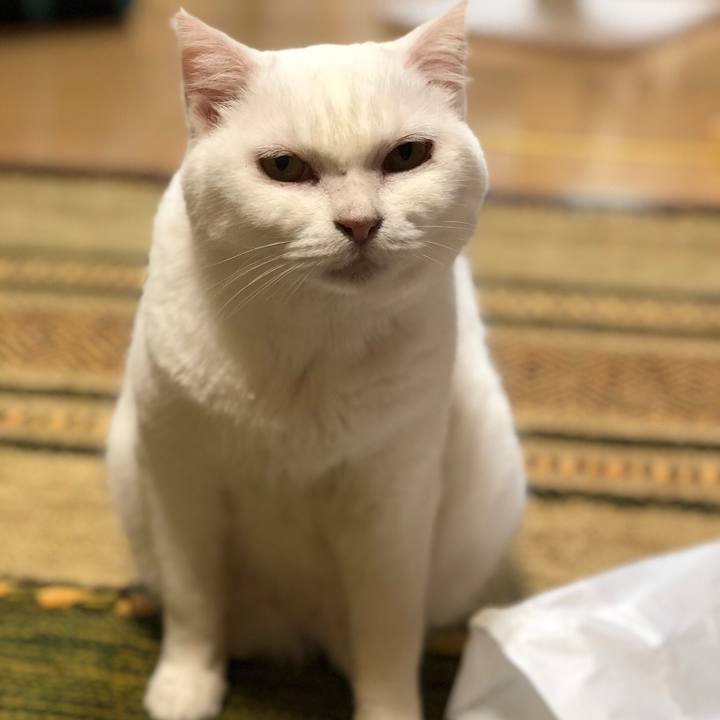 00e732f5 32db 4c74 8f96 d88698778a3e 1536840809083