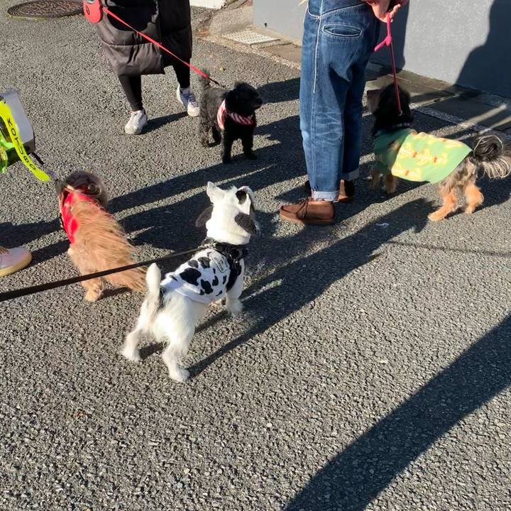 00e76419 6c65 46a7 b37e 9f1fa2b593f4 1670458815384