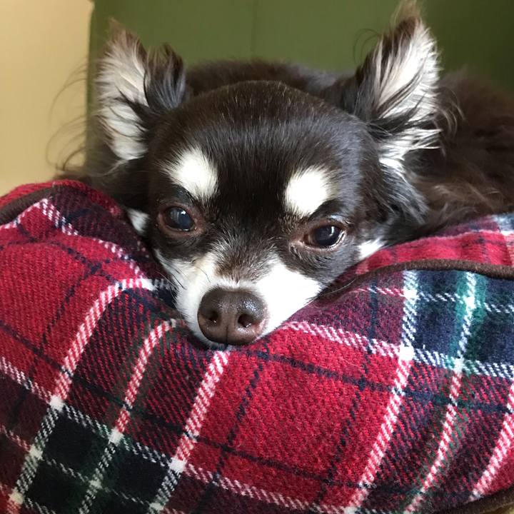 00e775e6 9706 4b4e 809e 6ee2a18b403c 1587190606415