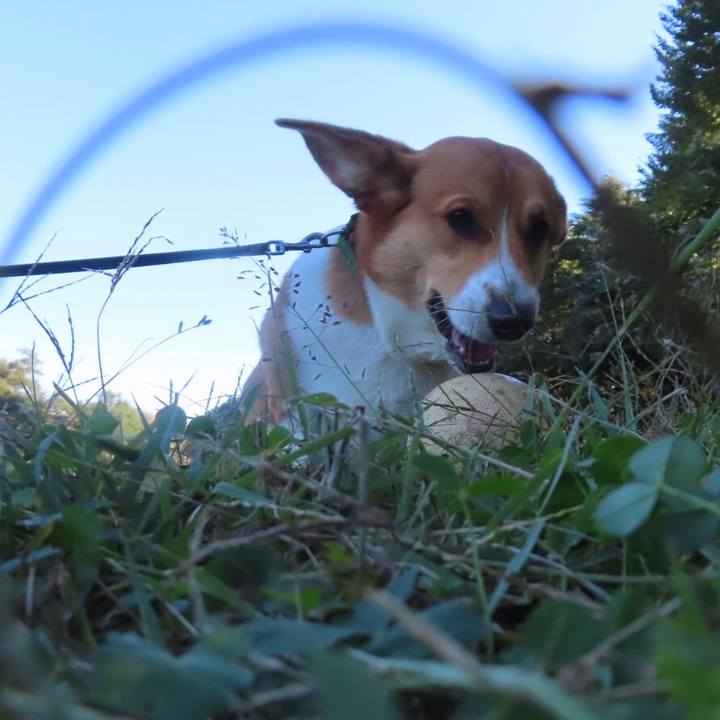 00e79124 5642 44fb 80d0 84c4391d77e6 1636163601023