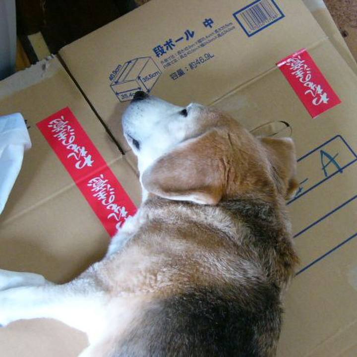 00e79e8e c77c 4dd9 a71d c17a3696f5b3 1686271173251