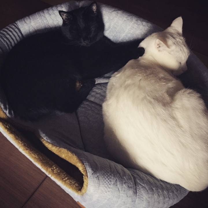 00e7b5aa bc92 4356 be44 63366c665d6e 1511343203553