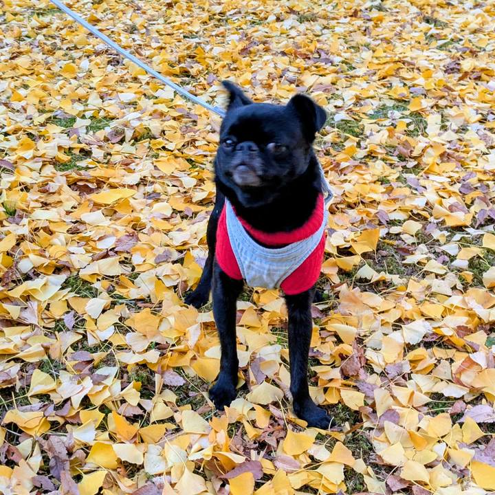 00e7c314 0792 4736 84ce 789f4b46f880 1765194478547