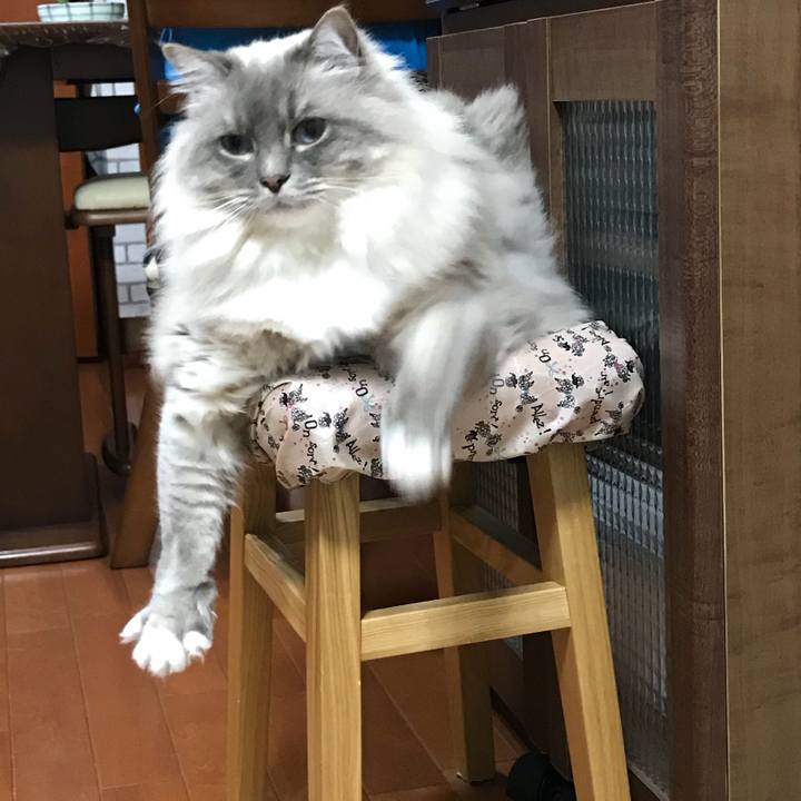 00e7f676 1de1 4f51 b1ca 76257e7aa666 1516313186019