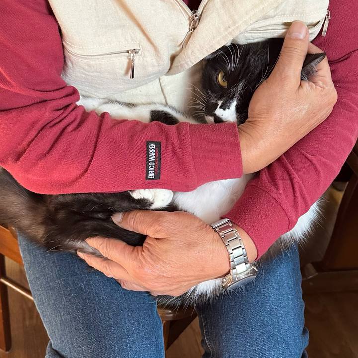 00e83709 ba43 41c0 bf28 2183e6fe8eef 1767228410211