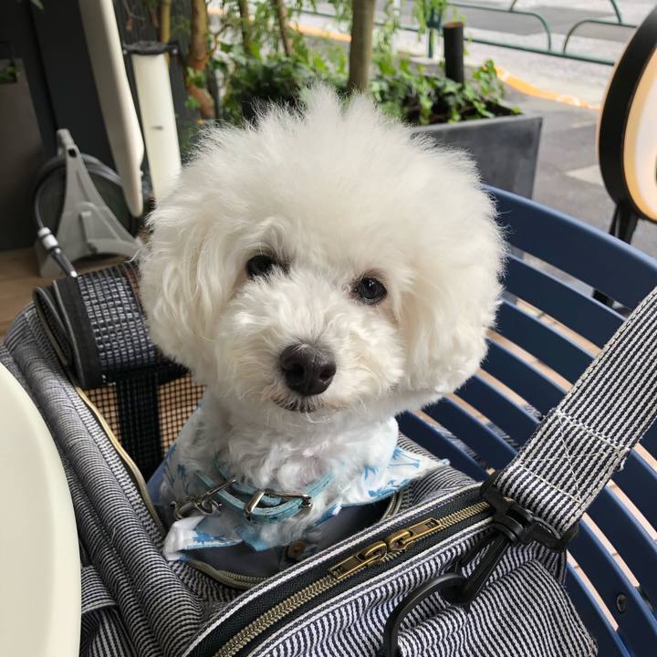 00e86631 f3b9 444f 8b17 b009caed951b 1563695454285