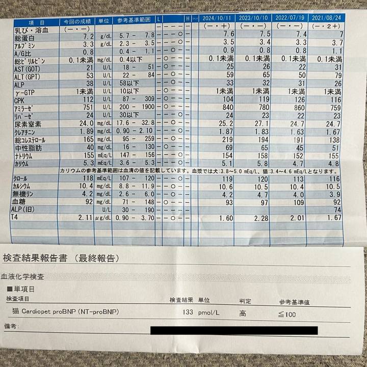 00e86c61 9b93 4900 a000 0a7cd680fdd1 1761556534580