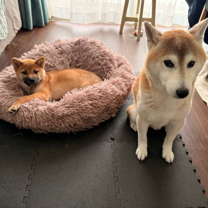 00e885ba f862 4442 a6cd 1e5f6d44b409 1761965611583