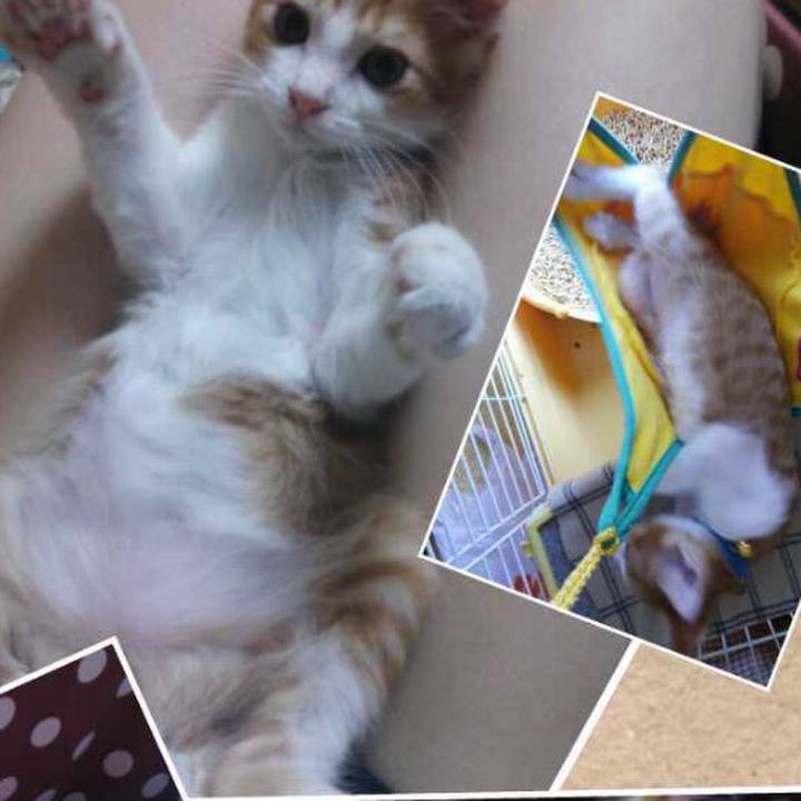 00e8b9ea 9126 4ce5 a807 295877d6202f 1560870295910