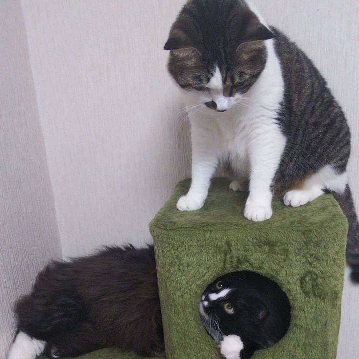 00e900ac d66b 49d8 b0c3 6e9b6197a179 1662353243481